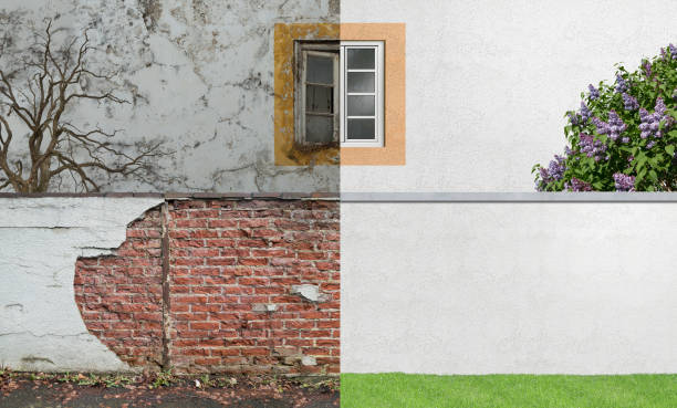 Best Mold Odor Removal Services  in Riverside, MD