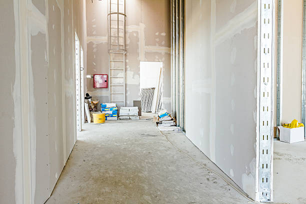 Best Residential Mold Inspection & Testing  in Riverside, MD